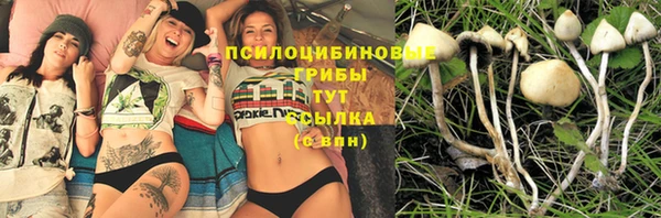 прущие крисы Переславль-Залесский